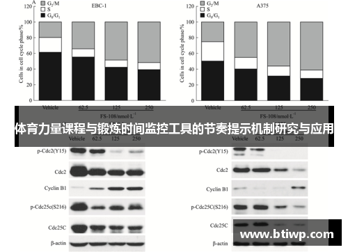 体育力量课程与锻炼时间监控工具的节奏提示机制研究与应用